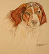 Genevieve Wilson - Ali