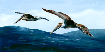 Studio Discovery Tour artist Jim Vickery: Two Pelicans