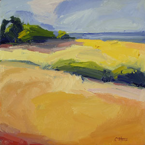 Studio Discovery Tour artist Sandy Ostrau: Sea Side Bluff