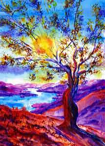 Annie Murphy Springer: Olive Tree Sunset