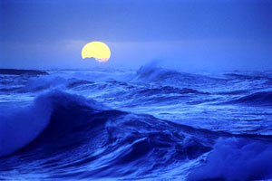 Bill Apton: Sunset & Wave