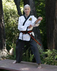 Martial Arts, with Lini Lieberman-Erich