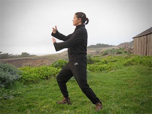 Tai Chi, with Justine Rosenthal