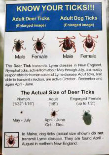 Know your ticks - poster