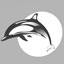 Dolphin Gallery logo