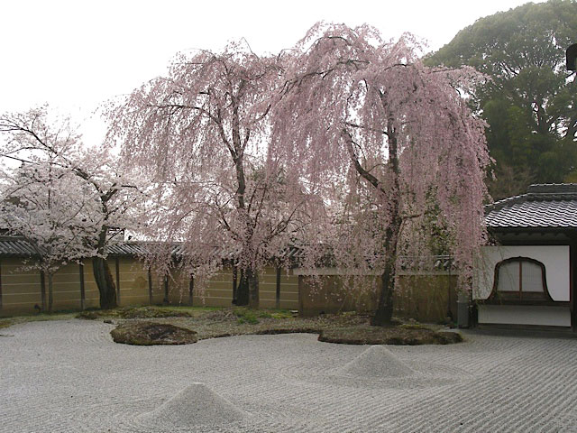 Japanese and Korean Gardens