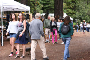 Art in the Redwoods Festival