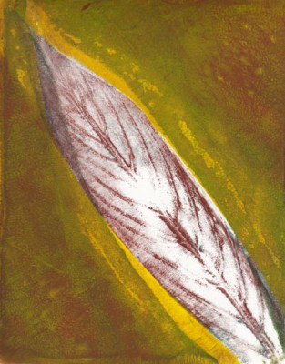 monotype leaf 1-v2w