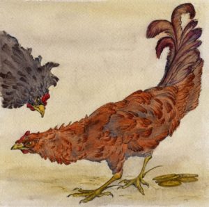 balinese-folk-tale-roosters/Elizabeth Sheets