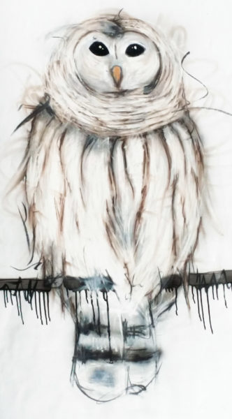 Sobrane-owl
